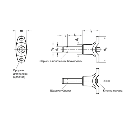 Штифты с шариковыми фиксаторами GN 113.7 — схема №1
